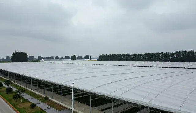 龙岩网站建设公司：选型关注点与获客支持策略