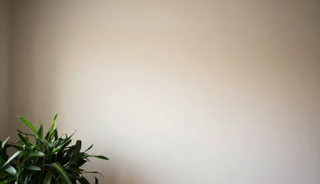 集合行业资讯：供应采购服务应用场景分析