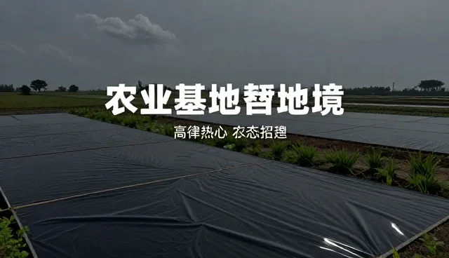 商业网站建设:名录在招商项目发布中的关键作用